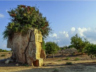 From The Sophisticated City Of Ahmedabad To The Ancient Settlement Of Lothal
