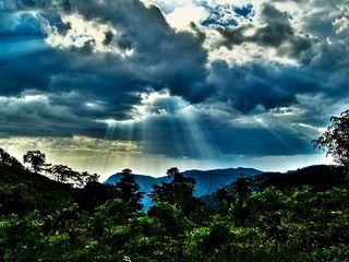 Chennai To Yercaud - An Unforgettable Journey To The Hilly Town In The Shevaroy Hills