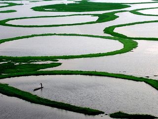 Exploring The World’s Only Floating National Park At Loktak Lake