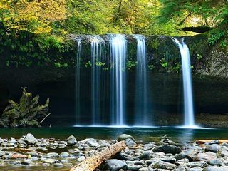 Explore Mhadei Wildlife Sanctuary To Witness The Unseen Beauty Of Goa