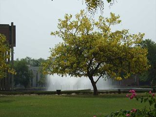 Top 10 Weekend Getaways From Agra