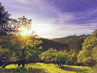 To The Incredible Wilson Hills In The Western Ghats 