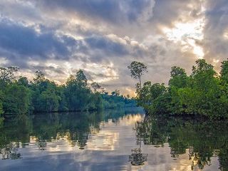 Kolkata To Henry's Island – Amid Pristine Beaches And Rich Wildlife