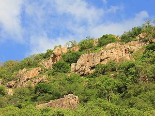 Ahmedabad To Suryamal – To The Richness Of Valleys And Forests