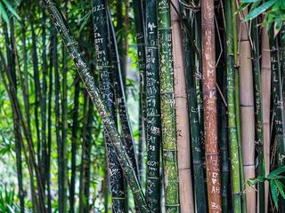 Top Things Tripura Is Famous For