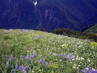 Natural Places In India That Will Compel You To Become A Traveller