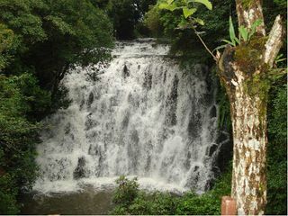 Visit These Unexplored Waterfalls In Meghalaya