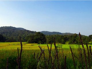 Kolkata To Duarsini – Amid Rich Forests And Wildlife