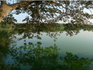 Visit These Top 5 Lakes In Mysore