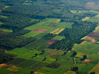Lesser-known Hill Stations In Idukki, Kerala