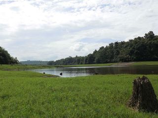 Thattekad Bird Sanctuary – First Of Its Kind In Kerala 