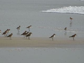 Kolkata To Balasore – Amidst Beaches And Temples In Odisha