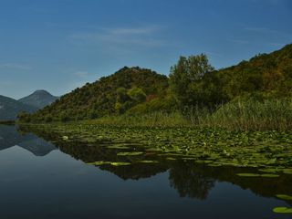 Get Yourself To Daringbadi – The Ultimate Summer Destination In Odisha