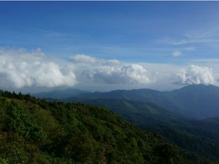 Panchalimedu In Kerala – A Small Paradise In The Making