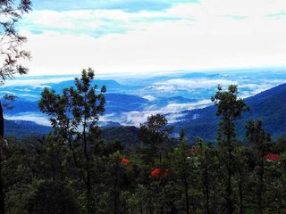 Top 5 Places to Visit In Trivandrum During Summer