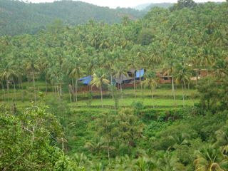 Inside The Mysterious ‘Twin-Village’ Of Kodinhi: 500 Pairs And Counting