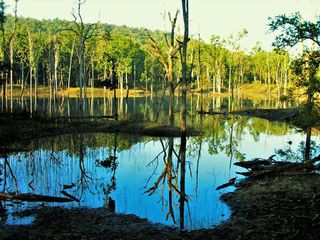 Bhopal To Seoni – To The Land Where The Jungle Book Was Framed