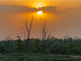 Bhopal To Pench National Park – To An Inspiring Weekend Getaway