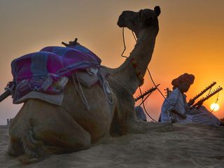 Best Road Trip Destinations From Jaipur