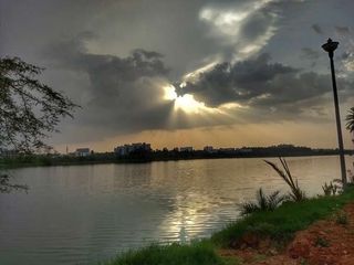 Visit The Two-hundred-year-old Jakkur Lake In Bangalore