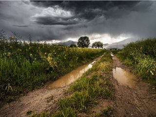 Monsoon 2020: 5 Reasons Why Rains In Bangalore Are Unique