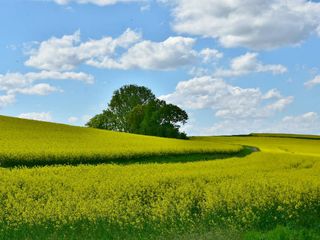 Photogenic Places In Northeast India That Will Leave You Wonderstruck