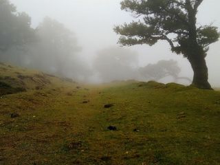 Visakhapatnam To Araku Valley – To The Unknown Valley With Flower Fields And Hills