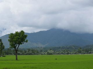 Lolab Valley In Jammu And Kashmir – Redefining Beauty And Paradise