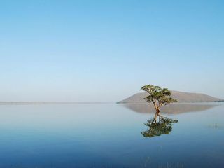 Ever Heard Of Pakhal Lake In Telangana Which Resembles A Heavenly Site?