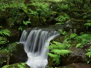 Must-visit And Unexplored Weekend Getaways From Allahabad