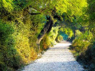 Jaipur To Bharatpur – To The Eastern Gateway Of Rajasthan