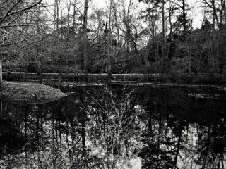 Khooni Nadi In Delhi: A Mysterious River Inhabited By Ghosts