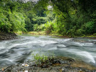 Monsoon 2023: Enjoy The Actual Beauty Of The Rains Around Mangalore