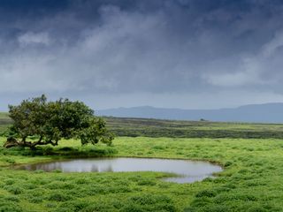 Top 10 Solo Travelling Destinations In Maharashtra