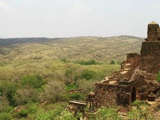 Jaipur To Sawai Madhopur – To The Tiger City With Historic Sites