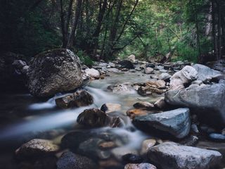 Kallar In Kerala: The Home Of Serenity And Tranquillity