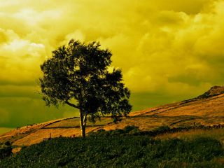 Reasons Why Bongaigaon In Assam Must Be On Your Bucket List