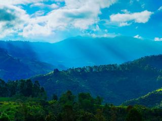 Janjheli In Himachal Pradesh – Only For Those Who Avoid Crowds