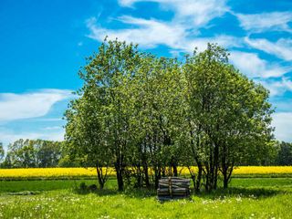 Beautiful Villages Around Bangalore To Experience A Country Life