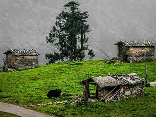 Top Reasons Why Visiting Arunachal Pradesh Is A Surreal Experience