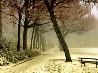 These Interesting Facts About Andhra Pradesh Will Surprise You