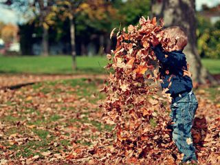 Beautiful Places In Lucknow You Can Take Your Kids To