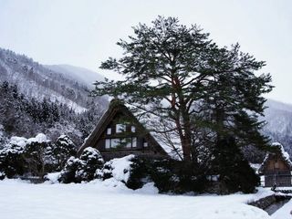 The Hamlet Of Lachen In Sikkim Is All You Need This Season