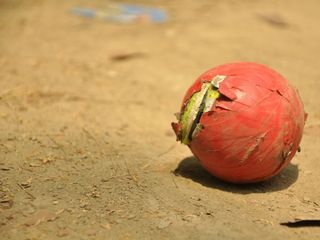 National Sports Day: Visit Fanattic Sports Museum And Witness Its Rare Collection