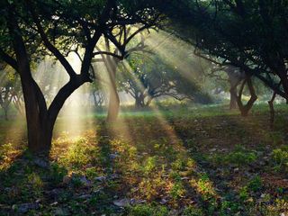 Hyderabad To Puttaparthi – Get Lost In The Divinity Of A Spiritual World