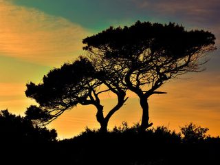 These 5 Places In Munger Call For An Exploration