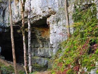 Nellitheertha Cave Temple – An Amalgamation Of Spirituality And Nature