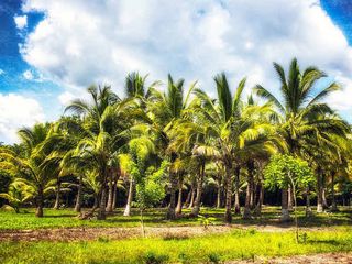 Hyderabad To Eluru – To The City With Unforgettable History And Incredible Nature