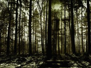 The Picturesque Pachmarhi Has A Haunted Forest? Learn All About It Here