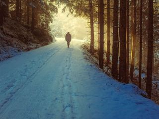 Things Every Traveller Must Know About Odisha